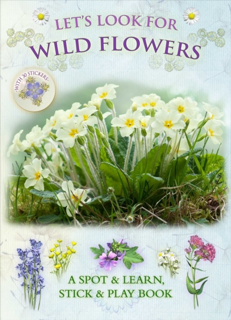 Let's Look for Wild Flowers by Andrea Pinnington (Paperback Book)