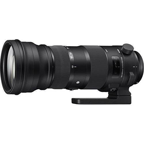 Sigma 60-600mm F4.5-6.3 DG OS HSM Lens