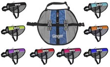 Personalized Service Dog Vest With Service Dog Patches and Embroidered Name