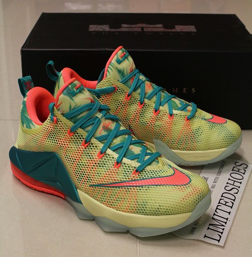 lebron 12 low palmer
