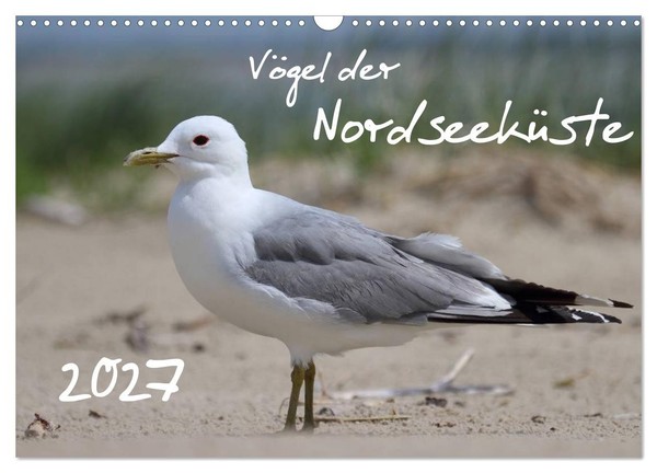 Calendar 2027 · US Version · Birds Of The North Sea Coast (Wall Calendar 2027 17-image
