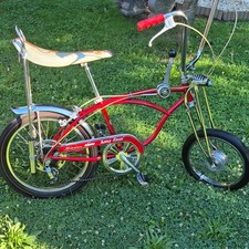 eBay Auction Picture