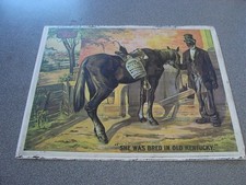  on The Hot Collector