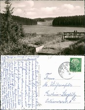 Ansichtskarte Buntenbock Partie am Prinzenteich 1963