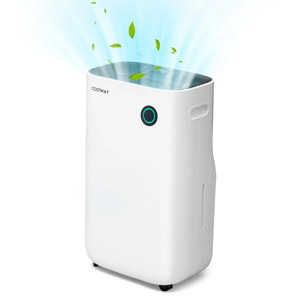 Humidifier and dehumidifier outlet