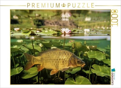 CALVENDO Puzzle Karpfen Paradies   Ruhe, die man hört. | 1000 Teile Lege-Größe 6