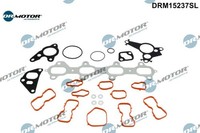 Dr.Motor Automotive DRM15237SL Dichtungssatz FüR Zylinderkopf