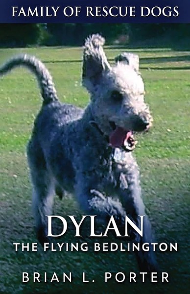 Brian L. Porter | Dylan - The Flying Bedlington | Taschenbuch | Englisch (2021)-image