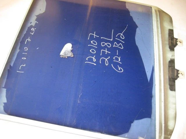 Cristal puerta conductor trasero OEM 1998 1999 2000 2001 2002 2003 2004 Isuzu Rodeo Foto 2 de 4