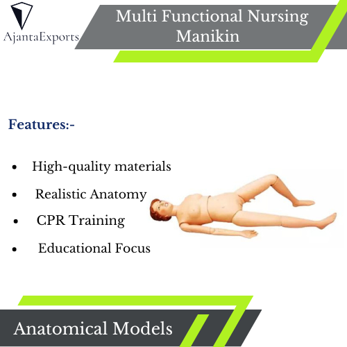 Maniquí de Enfermería Multifuncional Modelo Anatómico - Imagen 2 de 5