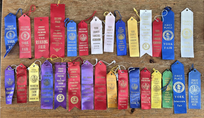 Vintage Fair Ribbon Lot of 30 Poultry Chickens Farm Farming Show Award