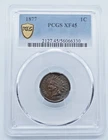 1877 Indian Head Cent PCGS XF45 Gold Shield Label - T142