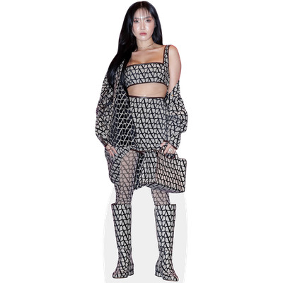 Hwasa (Boots) Mini Size Cutout