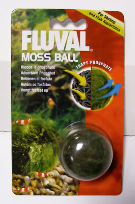 Fluval Moos Ball (Mooskugel) für Aquarien mit Süßwassergarnelen eBay