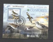 COMORES - Bloc OISEAUX Les Bécaseaux
