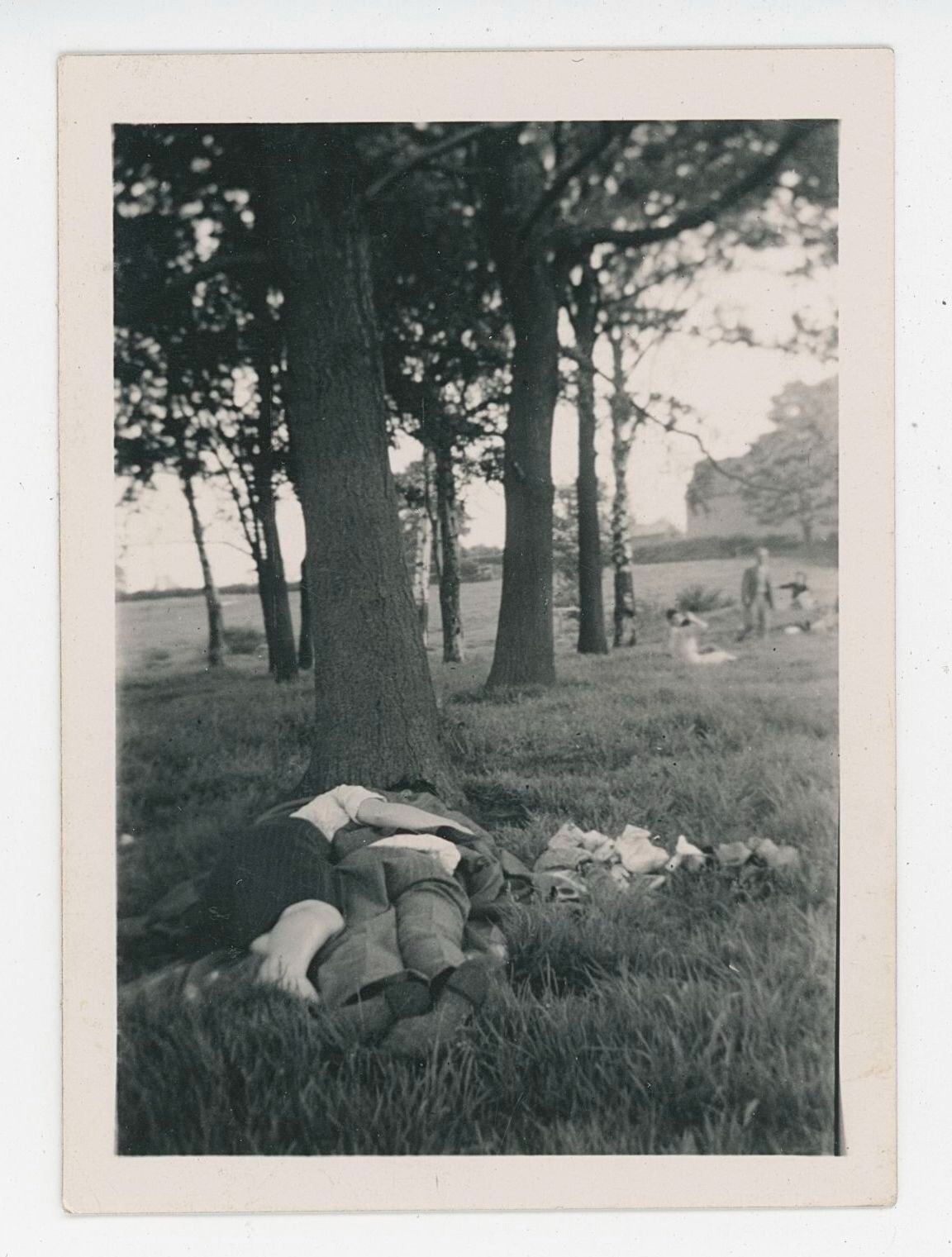 Pretty Snapshot of Couple Asleep Under A Tree in Love eBay