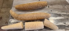 All natural loofah sponges. Each is 5" long. Grown in the USA, May Contain Seeds