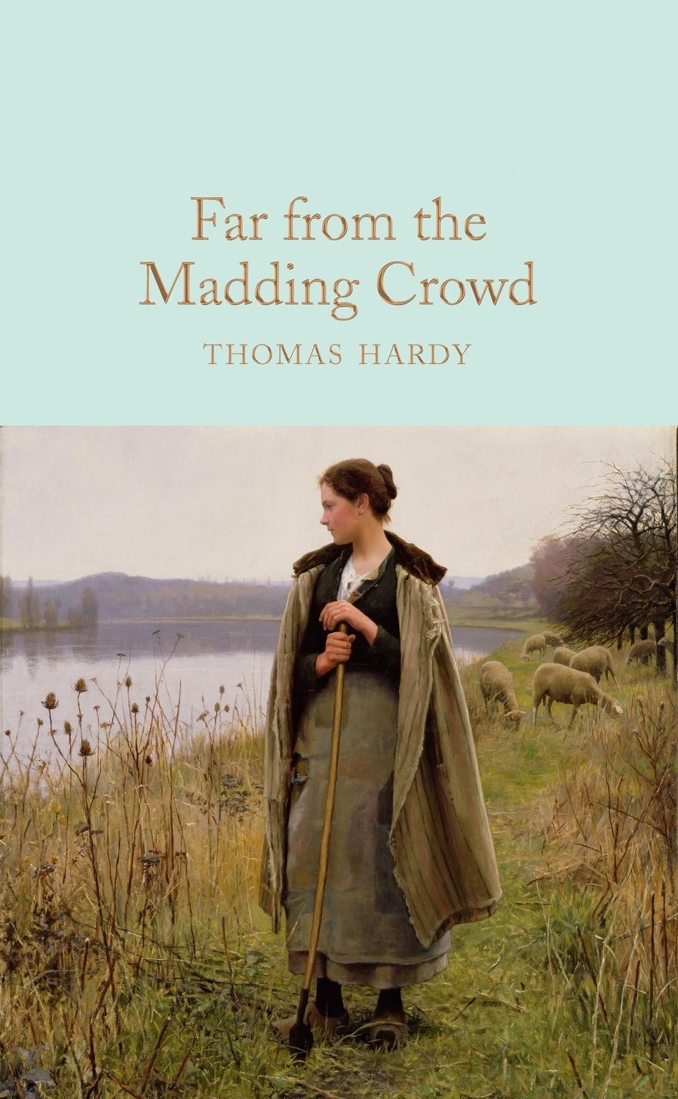 Thumbnail - Far From The Madding Crowd Thomas Hardy Buch Macmillan Collector's