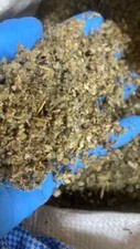 Mullein Leaf wild crafted Lung cut herb - oz lb 1 2 4 5 8 Pound Ounce