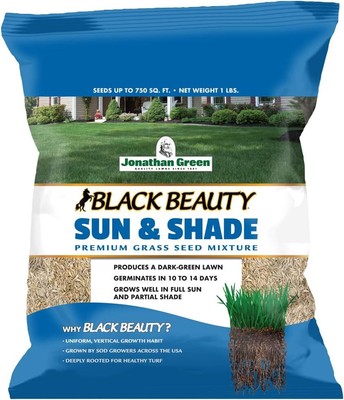 Jonathan Green (12001) Black Beauty Sun & Shade Grass Seed - Cool 1 lb, 