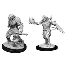 Nolzur's Marvelous Unpainted Miniatures - Male Dragonborn Paladin 90002 