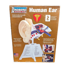 Lindberg Science Kit Human Ear Model Anatomically Accurate 71308