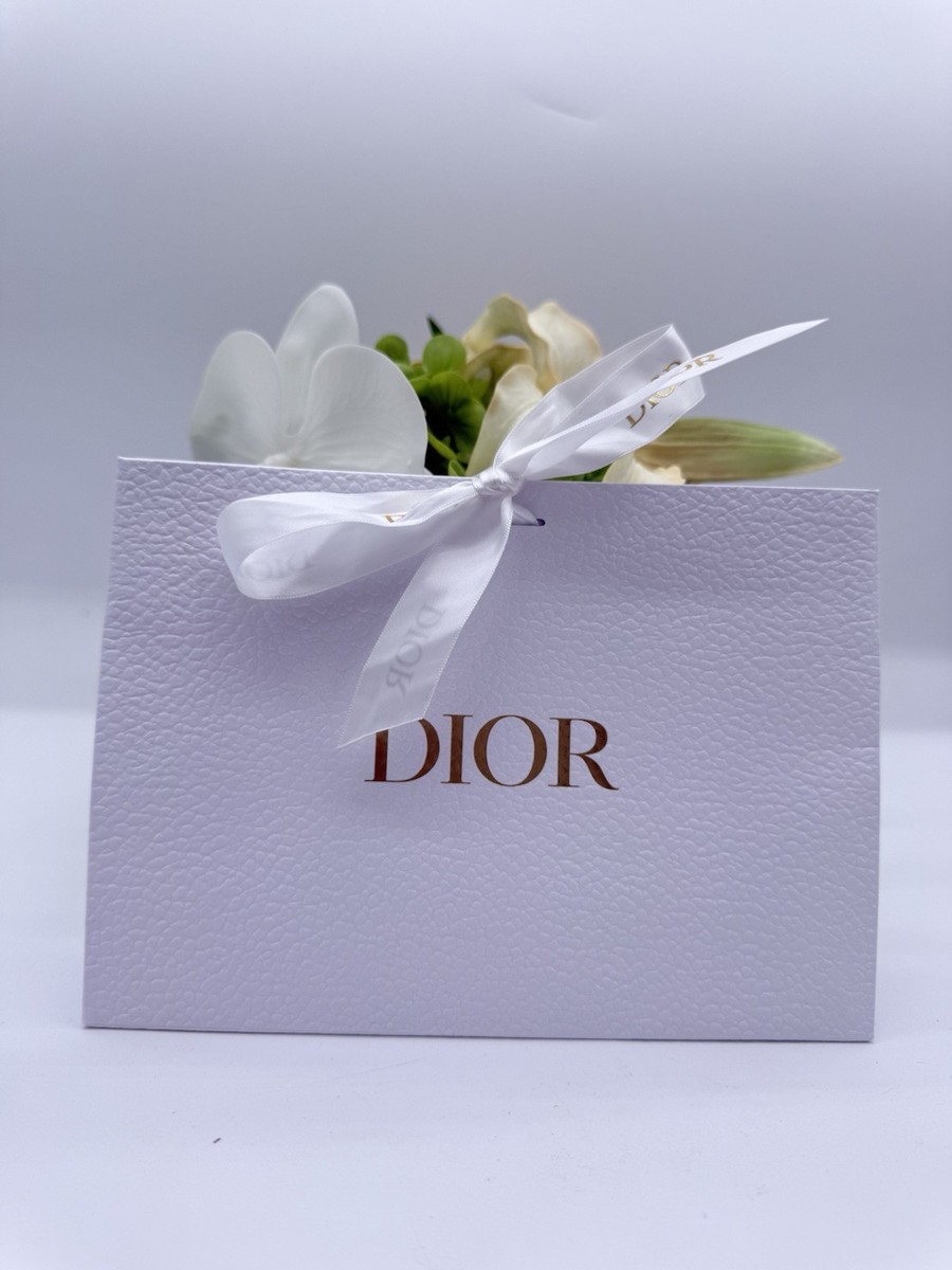 Lot Of 6 Dior Classic White Textured Paper Gift Bag New | eBay