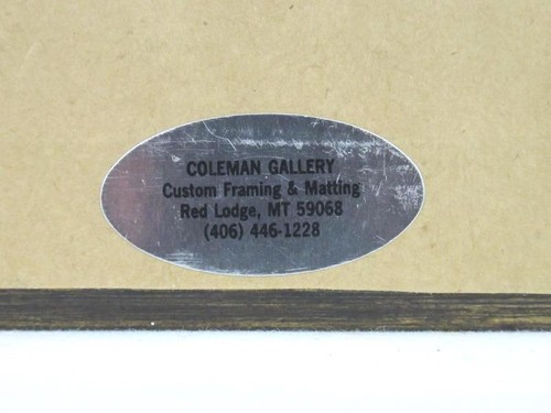 Mervin D. Coleman Limited Edition Framed Photo Out For A Swim 11x14 Crane - Picture 5 of 5