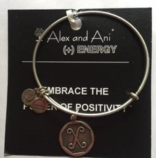 Alex and Ani Initial “X” Rafaelian Silver Expandable Bracelet NWT