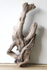 Treibholz Schwemmholz Driftwood 1  Wurzel Dekoration Terrarium 45 cm