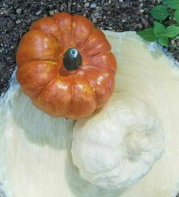 Pumpkin latex mold plaster cement fall Halloween mould 2.5''H x 3''W