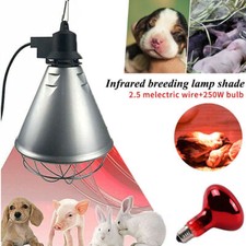 Infrared Heat Lamp Poultry