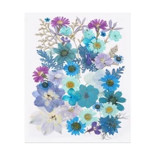 45 Pcs Dried Pressed Flower Leaves Bulk for Resin, Blue Colors