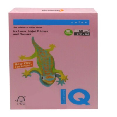 Mondi IdealQuality Copy Paper Color A4 Pastel Pink for Laser, Inkjet Printing