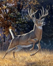 35" Fabric Panel | David Textiles Digital Startled Deer Buck Scene