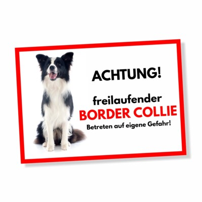 Border Collie 1 Freilaufender Hund Dog Schild Spruch Türschild Hundeschild Warns
