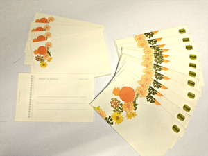 Vintage Floral Just A Notes By Current 12 Foldable Notes 5 Post-A-Notes NO SEALS