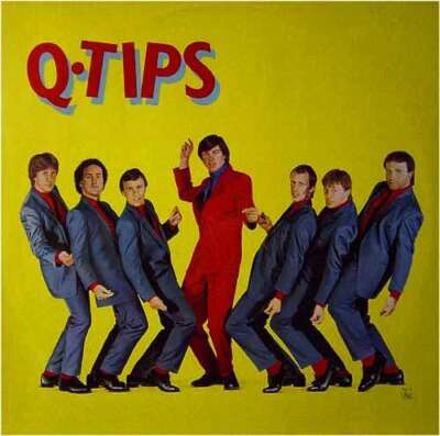 Q-Tips* - Q-Tips LP Album Vinyl Schallplatte 