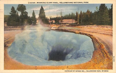 MORNING GLORY POOL Yellowstone Linen Postcard 1934 Posted 1941 from Yellowstone