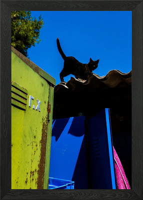Schwarze Katze auf einem Dach gerahmtes Wandbild Poster Leinwanddruck Bild