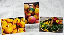 Harvest Basket of garden finds Peaches Pumpkins Set of 3 Blank Photo Notecard