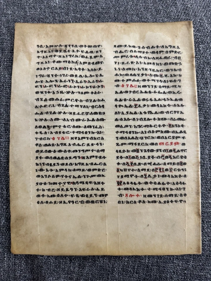 African Christian Bible Geʽez Manuscript Leaf on Vellum Psalter Dawit 18th rare - Image 4 of 4