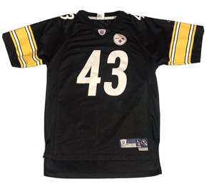 troy polamalu jersey ebay