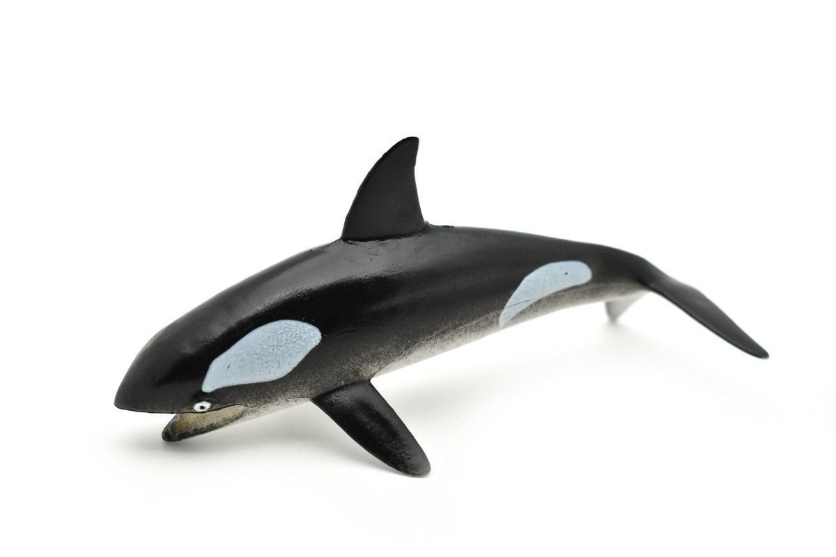 Killer Whale Led付き VFMNT Night Light Orca Killer Whale Print Nightlight for