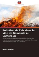 Pollution De L'air Dans La Ville De Bamenda Au Cameroun Nsoh Marius