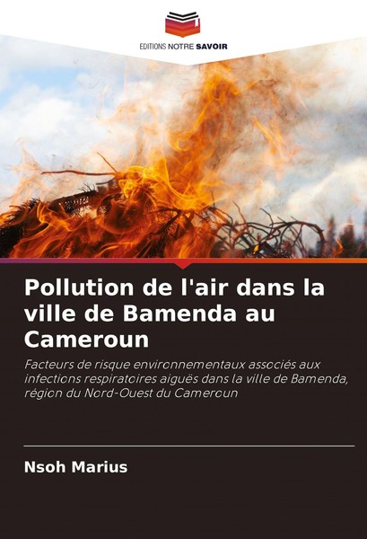 Pollution De L'air Dans La Ville De Bamenda Au Cameroun Nsoh Marius-image