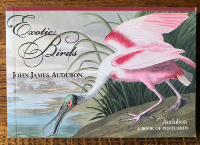 Postcard Book - Exotic Birds - JJ Audubon - Pomegranate - 30 Oversized Images