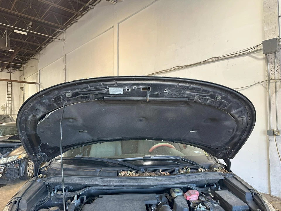 Used Hood fits: 2014 Ford Explorer Grade B Foto 3 de 4