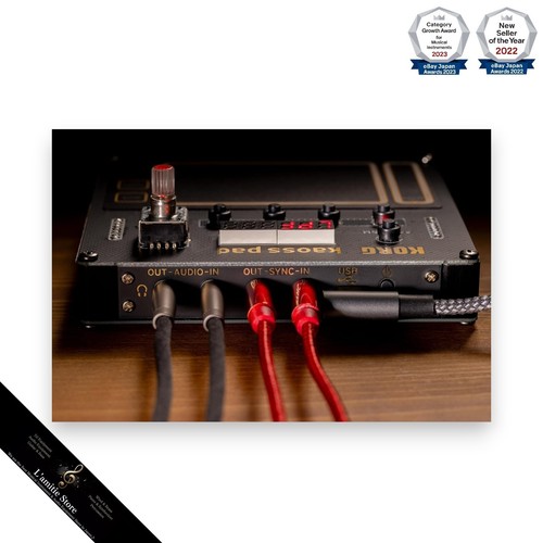 KORG Kaoss Pad Kit NTS-3 DIY Synthesizer Programmable Effect Japan New - Picture 7 of 24