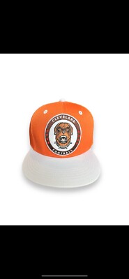 Cleveland Browns Hat